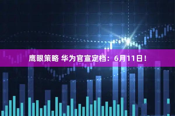 鹰眼策略 华为官宣定档：6月11日！