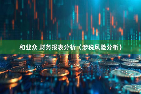 和业众 财务报表分析（涉税风险分析）