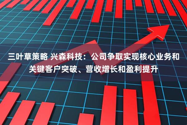 三叶草策略 兴森科技：公司争取实现核心业务和关键客户突破、营收增长和盈利提升